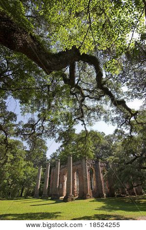 rovine della Chiesa antica in Carolina del sud di sheldon con lecci raggiungendo fuori