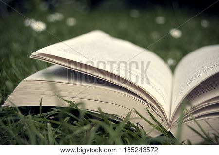 Reading a book in the park during summer