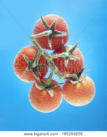 Tomatoes top view on a branch isolated on a blue background with air bubbles