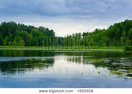 Lago e foresta.