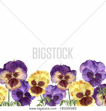Watercolor floral border with pansy flowers. Hand painted illustration with flowers, leaves and branches isolated on white background. For design, print and background.