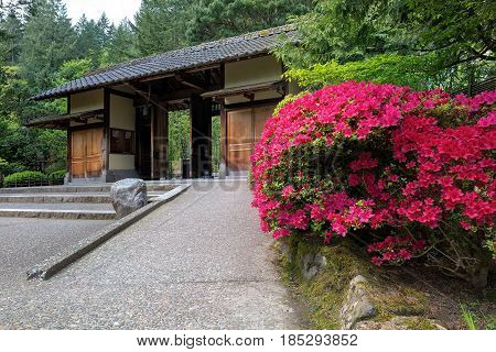 Gate Entrance at Portland Japanese Garden with blooming Azaleas in Spring