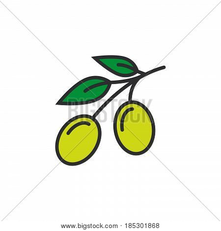 Olive line icon filled outline vector sign linear colorful pictogram isolated on white. logo illustration