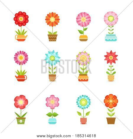 Vector flowers in different pots. Floral set isolate on white background. Color flowers plant, illustration of garden flowers in pot