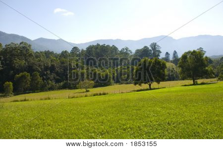 字段和山在应许之地