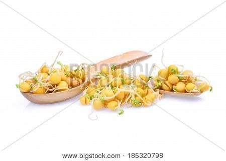 snow pea sprouts in wooden spoon isolated on white background