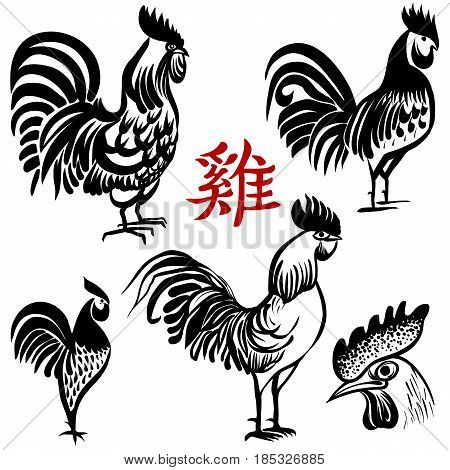 Ink hand drawn Rooster. The symbol of the Chinese New Year 2017. Sketch style. Vector illustration Chinese brush painting. Chinese Translation: Rooster.