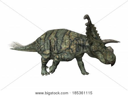 3D Rendering Dinosaur Albertaceratops On White