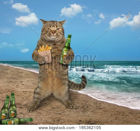 The cute cat is on the beach. He is holding a bottle of beer and a paper bag of fried potatoes.