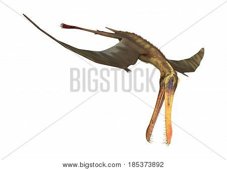 3D Rendering Pterodactyl Anhanguera On White