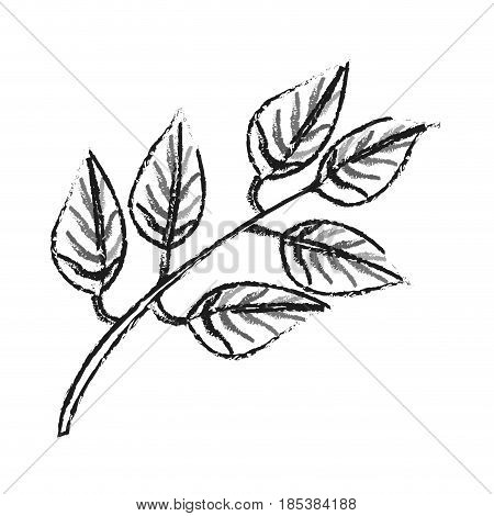 blurred silhouette image side view branch with ramifications and leaves vector illustration