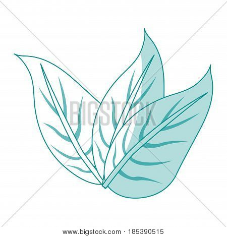 blue silhouette image set leaves with ramifications vector illustration