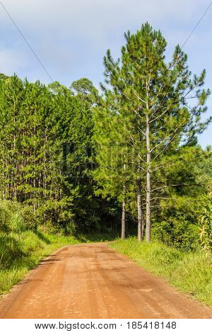 Dirt Road In Countryside