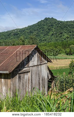 Old Wood Farm House