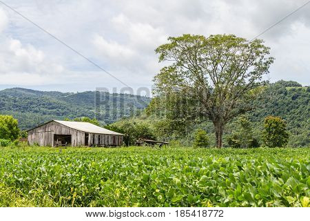 Old Wood Barn