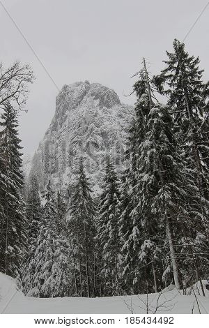 Snow Covered Rock In Chiemgau Alps, Germany