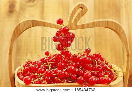 clusters of fresh ripe berries of red currant on the wooden vase