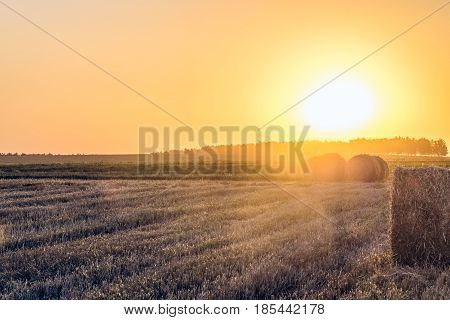 Evening summer sunny field with straw bales. Farmland with hay rolls. Rural landscape in light of the low evening sun backlight.