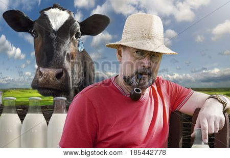   Farmer with a smoking pipe in a pince-nez and a cow on a green meadow background. Farm products-milk