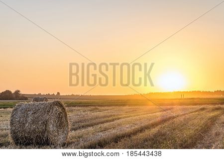 Wheat field after harvest with straw bale in light of the low evening sun backlight. Field with hay roll on the sunset.