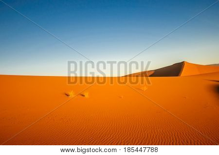 View of dunes in the dessert of Morocco by M'hamid