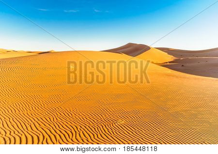 View of dunes in the dessert of Morocco by M'hamid