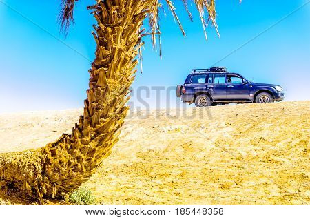 Suv with palm in the dessert of Morocco