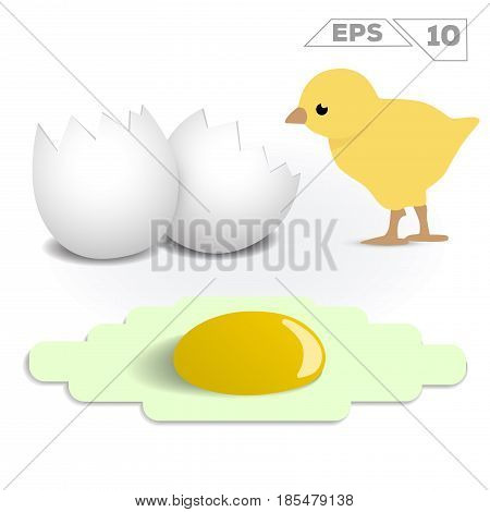 omelette fried eggshell and chick 3d vector illustration
