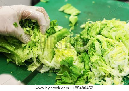 makes fresh salad ontable . greens summer nature
