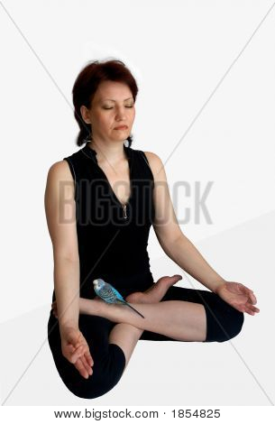 Meditazione con un Parro