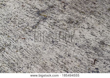 Background old dry wood. Space for text