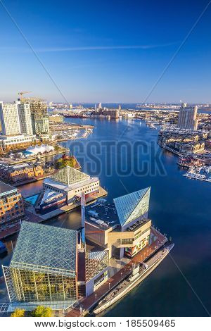 Inner Harbor Area In Downtown Baltimore