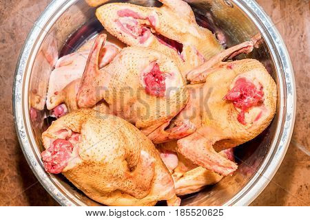 Several carcases of raw chicken in saucepan