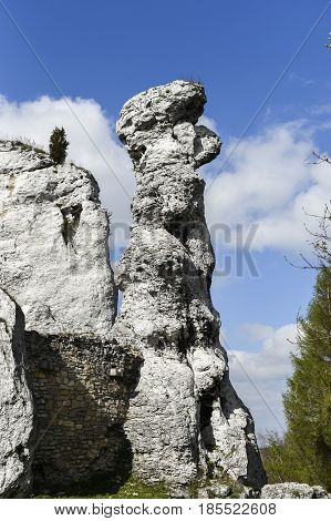 Polish Jurassic rocks on a hill in Jura krakowsko czestochowska Ogrodzieniec.