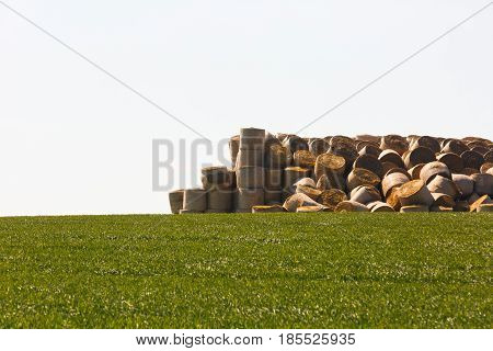Haystack in middle of the field prepared animal fodder on a farm. Agriculture mass production livestock breeding concept with copy space.