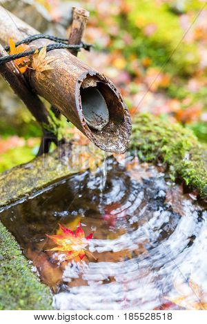 Water bamboo fountain with maple leaves