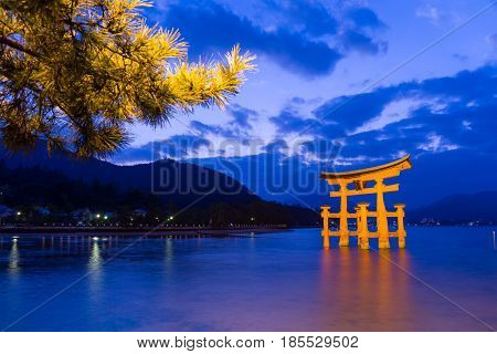 Torii in Itsukushima shine at evening
