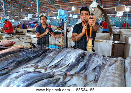 Bandar Abbas Hormozgan Province Iran - 15 april 2017: Fresh chilled fish tuna lies on the ice in a covered fish market two Persian sellers smoke a hookah near their product.