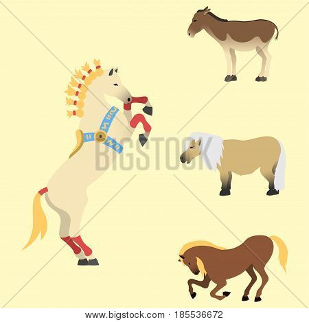 Set of horse pony stallion isolated different breeds color farm equestrian animal characters vector illustration. Collection mammal silhouette domestic animal cartoon pet design.