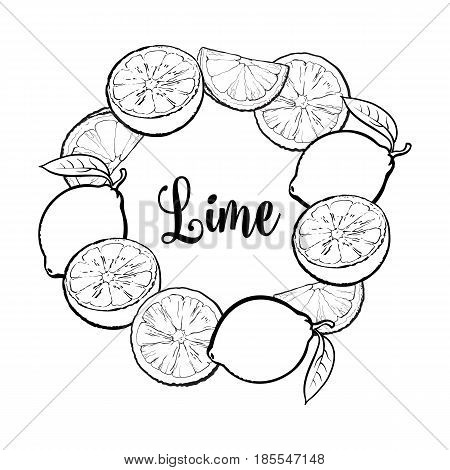Round frame of whole and black and white half lime fruits with place for text, sketch vector illustration isolated on white background. Hand drawn lime fruits as round frame, label, banner template