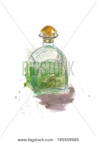 Watercolor hand drawn sketh absinthe bottle. Alcohol drink illustration