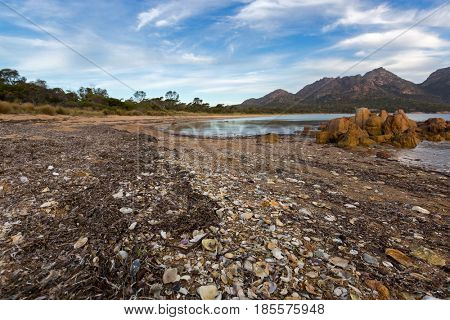 Kelps, seaweeds, seashells washed up on Freycinet national park beach with view of Hazards mountain range, view from Coles Bay in East coast of Tasmania, Australia