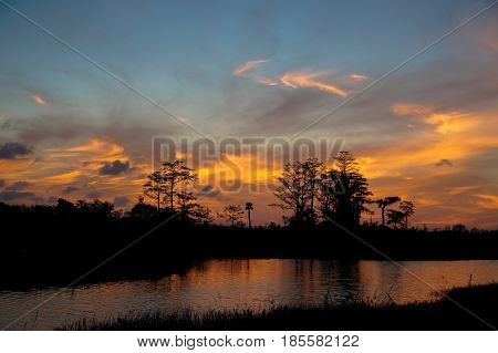 Reflections Of Sunset Silhouette In The Cypress Swamp
