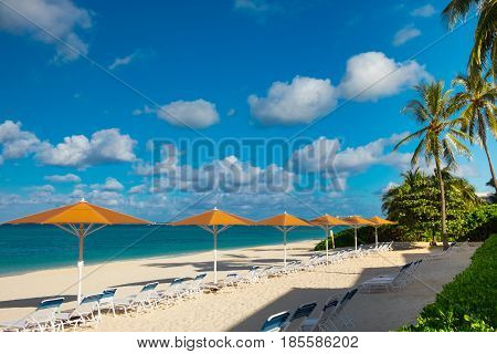 Row of parasols and sun loungers by the Caribbean Sea on Seven Mile Beach, Grand Cayman, Cayman Islands