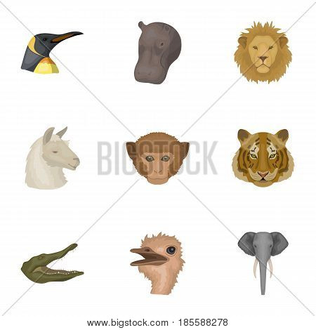 A set of icons of wild animals. Predatory and peaceful wild animals.Realistic animal icon in set collection on cartoon style vector symbol stock web illustration.