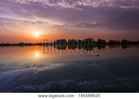 A duck swims during the sunset on the river Mincio