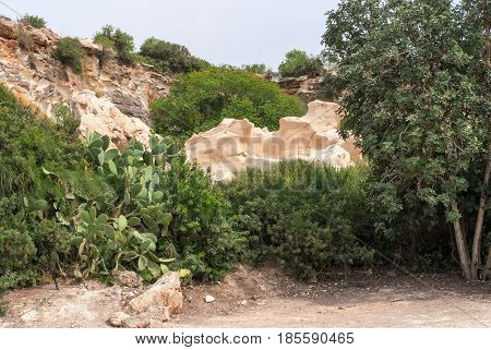 View on biblical landscape Beit Guvrin Maresha. Maresha also Marissa is the famous tourist and archaeological site in Israel