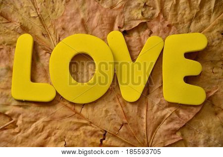 WORD LOVE ON A  ANBSTRACT COLORFUL BACKGROUND
