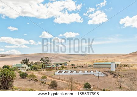 BEREAVILLE SOUTH AFRICA - MARCH 27 2017: A farm scene with many buildings next to the Middelplaas Road in the Western Cape Province