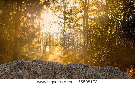 Overall feeling is a calm peaceful tranquil serene and wild background,Stone texture background; natural rock texture. Abstract background and texture for designers.